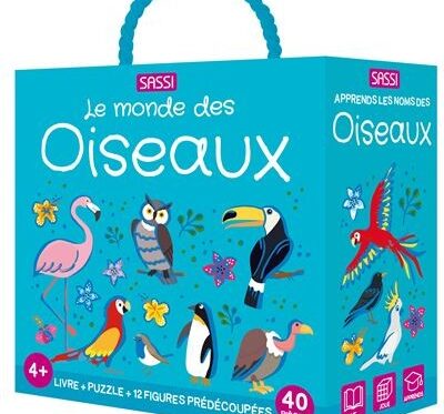 Roman de la Renaissance - L’art et la vie | Editions de l'Histoire