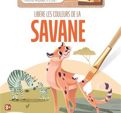 Le Petit Prince - Roman Classique pour Enfants et Adultes