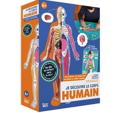 Je Découvre le Corps Humain - Livre éducatif pour enfants