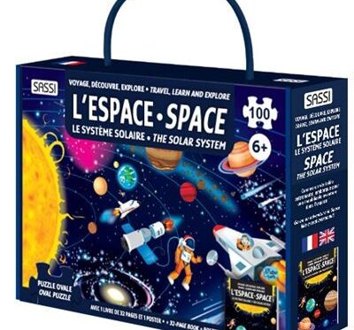 Le Petit Prince - Un classique de la littérature