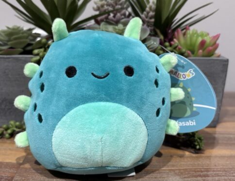 SQK Little Plush 5" Squishmallows - Concombre de mer vert