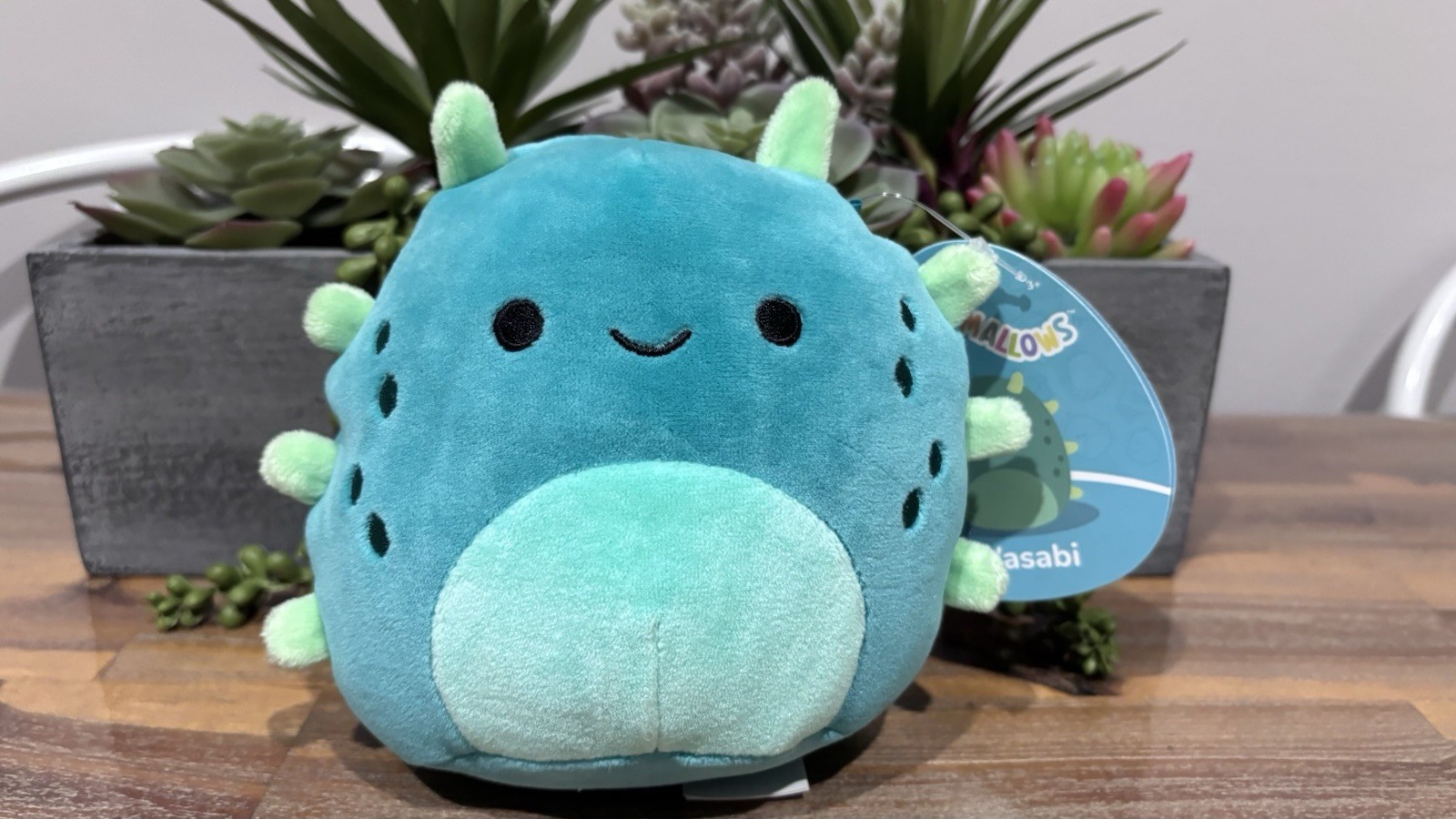 product-9211-1 SQK Little Plush 5" Squishmallows - Concombre de mer vert