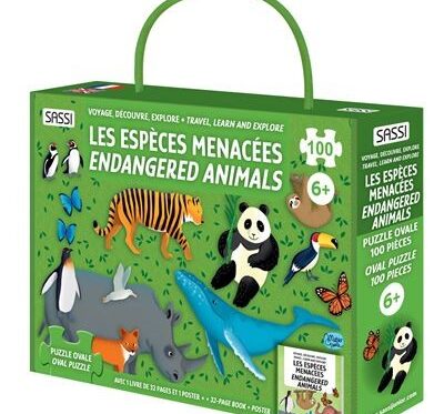 Chargeur Solaire Portable EcoPower - Écologique et Efficace