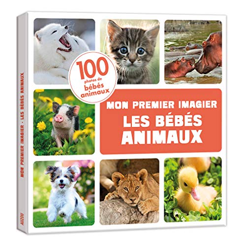 product-9621-1 Mon premier imagier les bébés animaux - Livre éducatif pour enfants