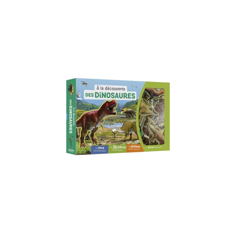 À LA DÉCOUVERTE DES DINOSAURES - Coffret magnétique pour enfant