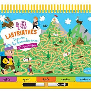 Cherche et Trouve 48 Labyrinthes - Jeux de Logique