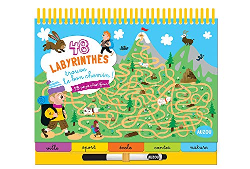 Cherche et Trouve 48 Labyrinthes - Jeux de Logique