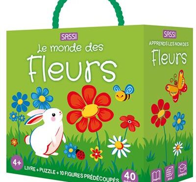 Le Petit Prince - Édition illustrée | Livre intemporel