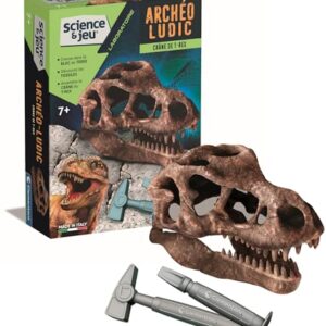 Coffret Science Crâne de T-Rex - Apprendre en S'amusant
