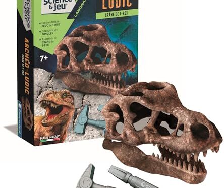 Coffret Science Crâne de T-Rex - Apprendre en S'amusant